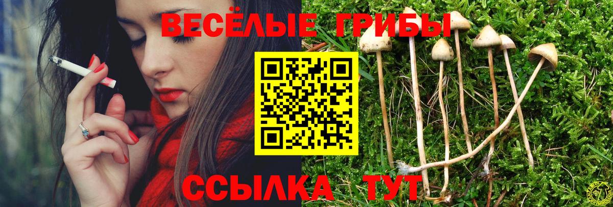 где найти   Галлюциногенные грибы MAGIC MUSHROOMS  Вход с VPN  Галлюциногенные грибы GOLDEN TEACHER  Ухта 